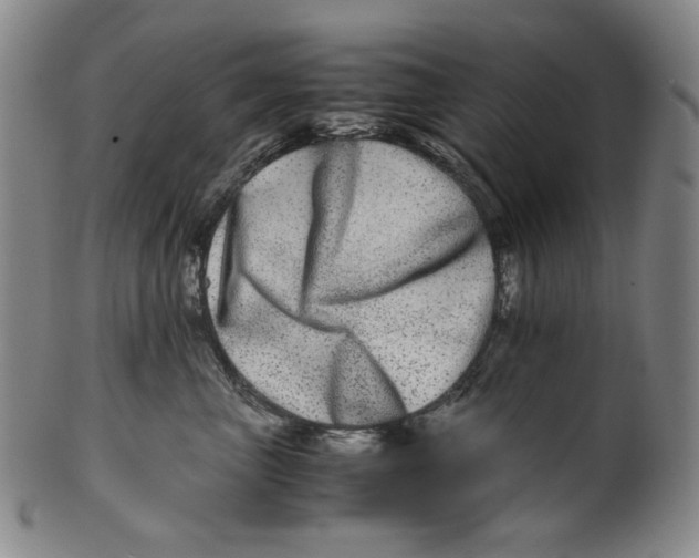 X0000100400667200806271422