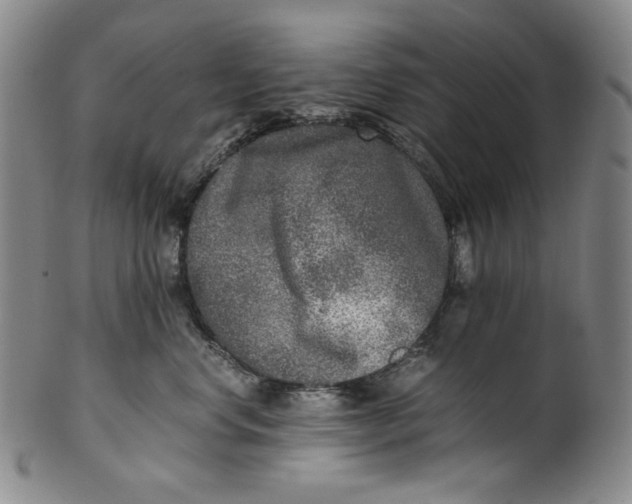 X0000100400668200806271422