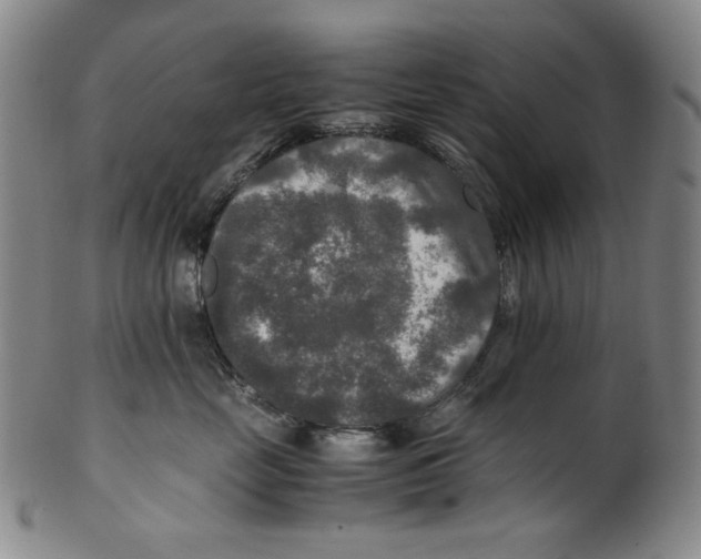 X0000100400669200806271422