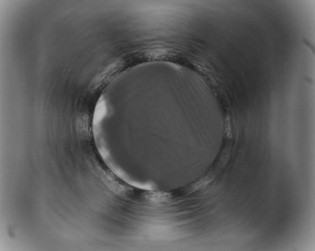 X0000100400670200806271422