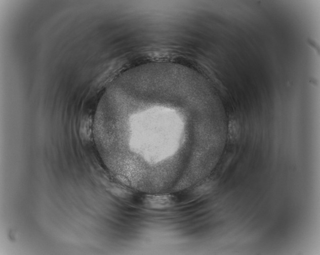 X0000100400671200806271422