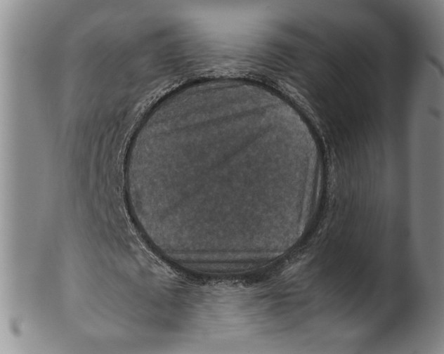 X0000100400673200806271421
