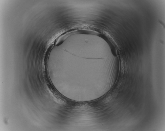 X0000100400674200806271421