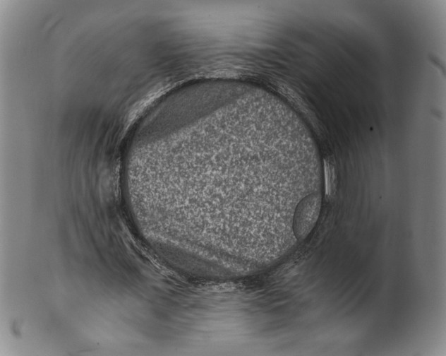 X0000100400675200806271421