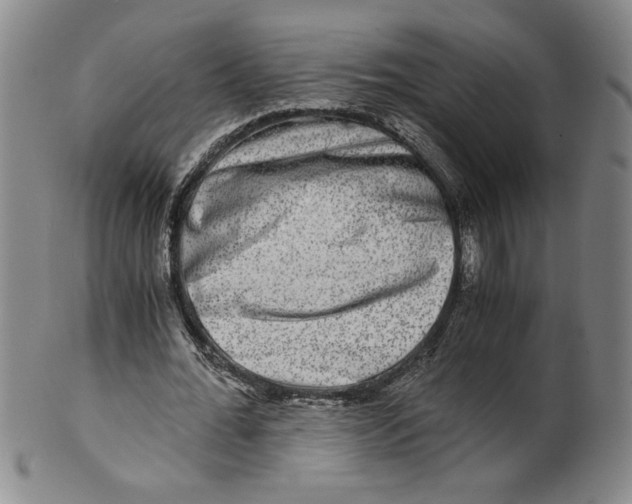 X0000100400676200806271421