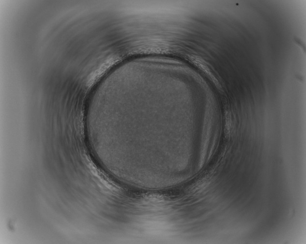 X0000100400677200806271421