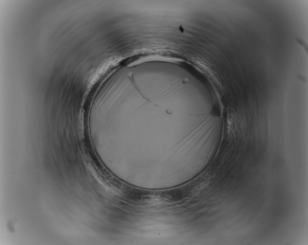 X0000100400678200806271421