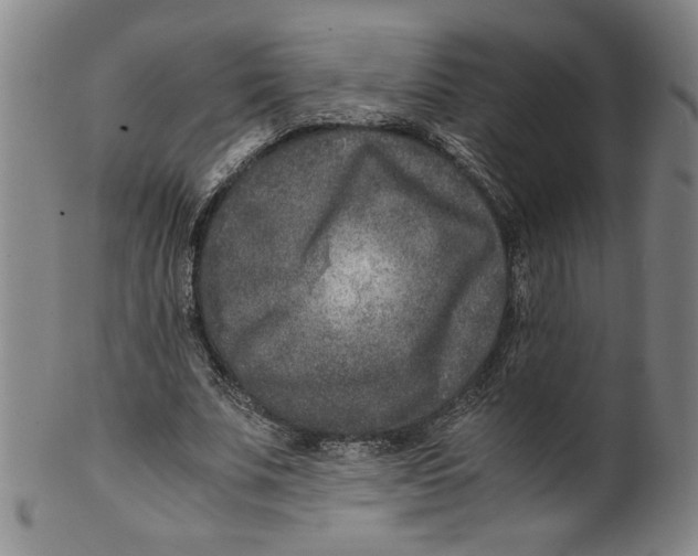 X0000100400679200806271421