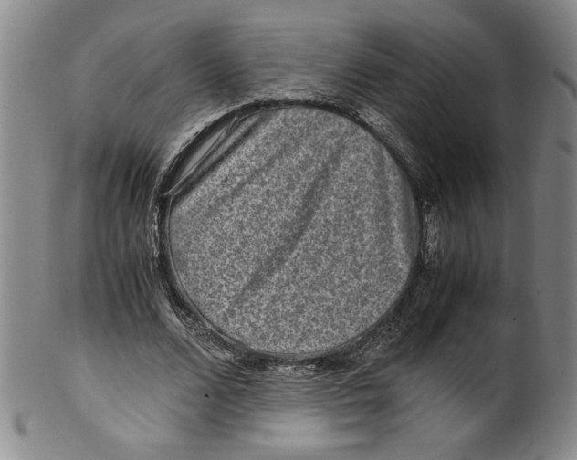 X0000100400680200806271421