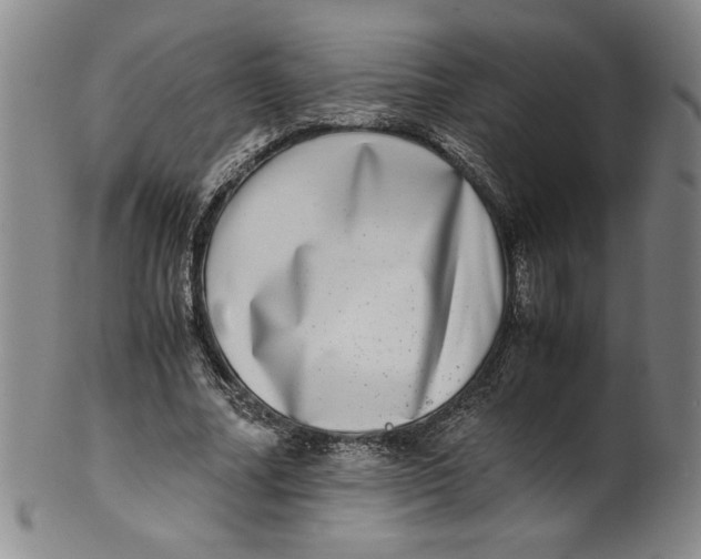 X0000100400682200806271421