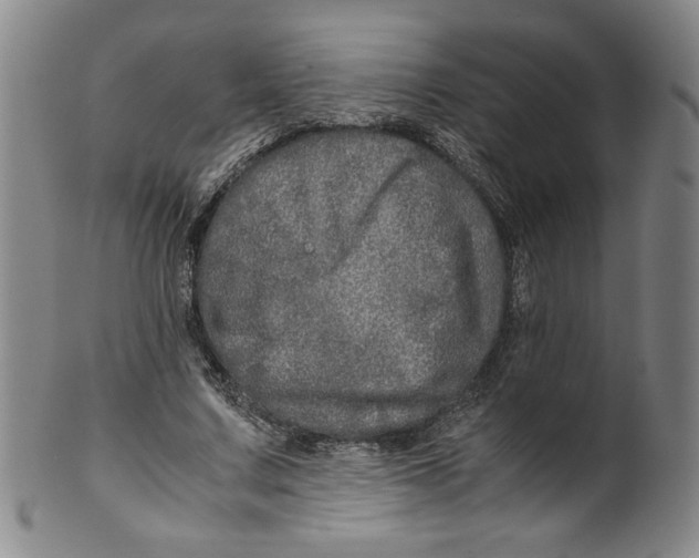 X0000100400683200806271421