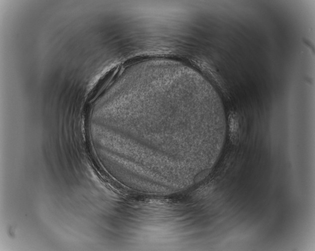 X0000100400684200806271421