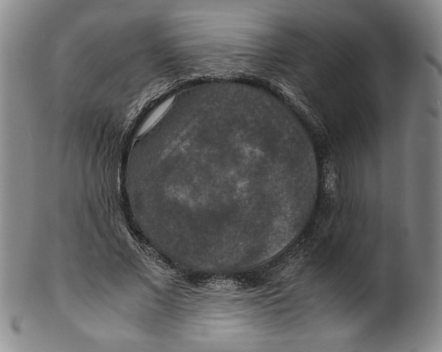 X0000100400685200806271421