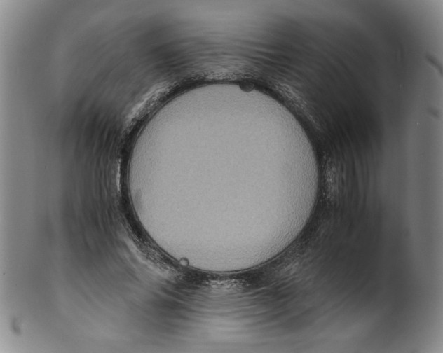 X0000100400686200806271421