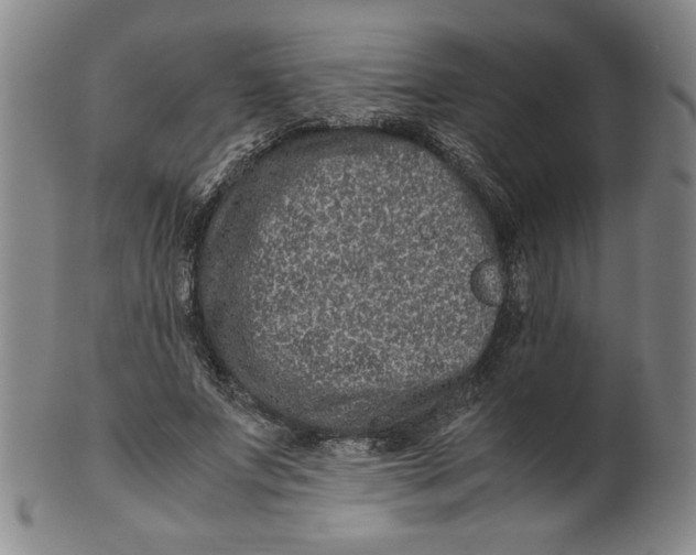 X0000100400687200806271421