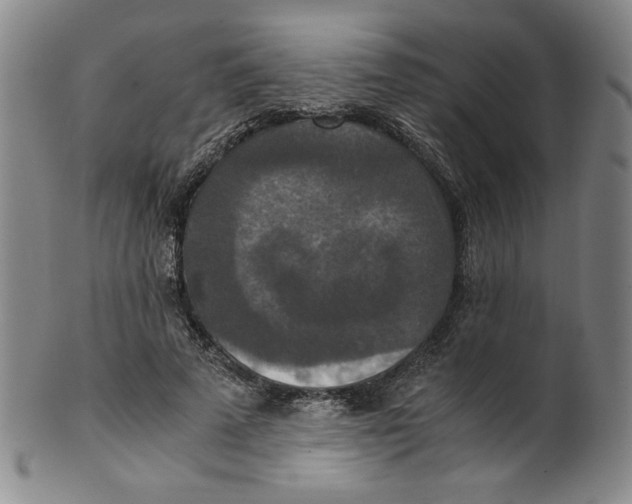 X0000100400689200806271421