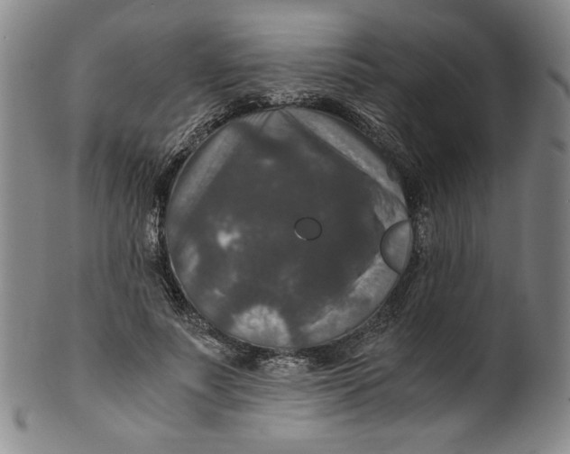 X0000100400691200806271421