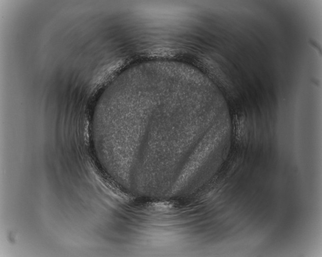 X0000100400692200806271421