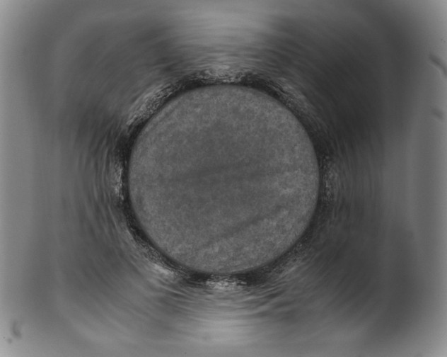 X0000100400693200806271421