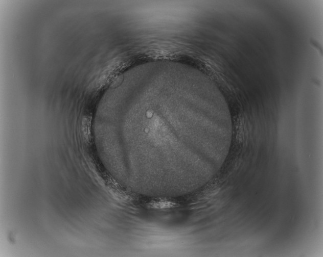 X0000100400695200806271421
