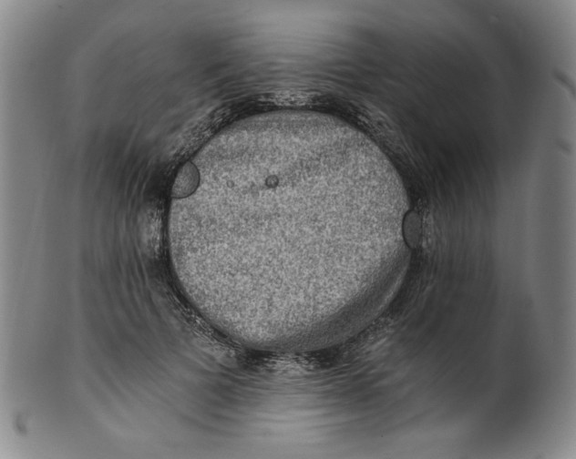 X0000100400697200806271421