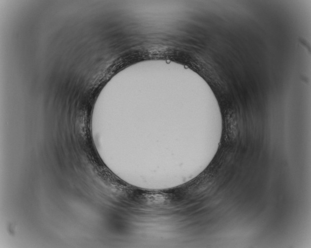 X0000100400698200806271421