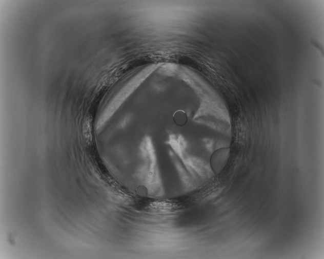 X0000100400699200806271421