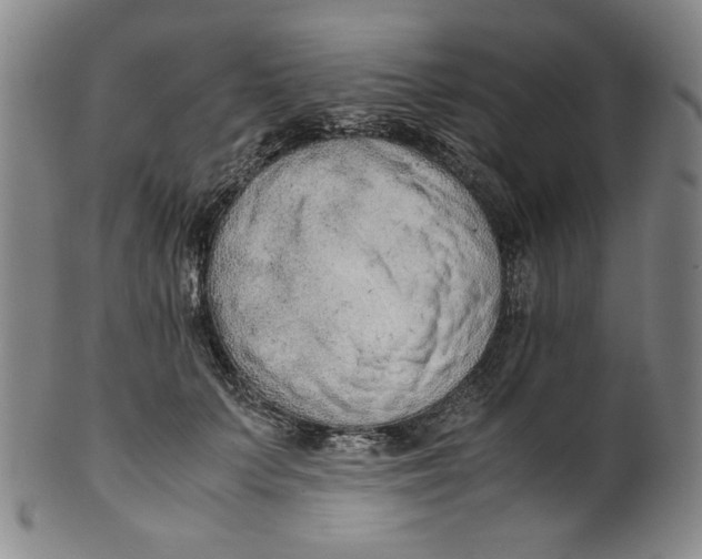 X0000100400703200806271421
