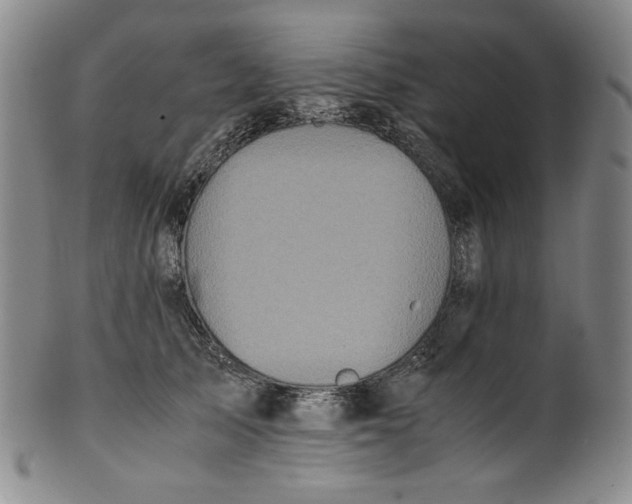 X0000100400705200806271421