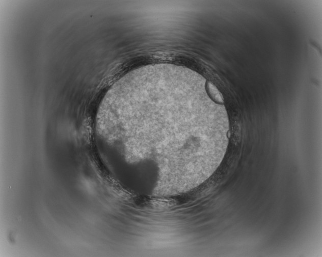 X0000100400707200806271421