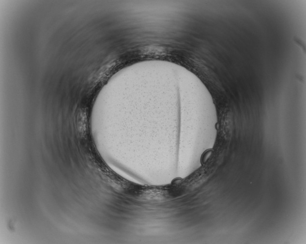 X0000100400708200806271421