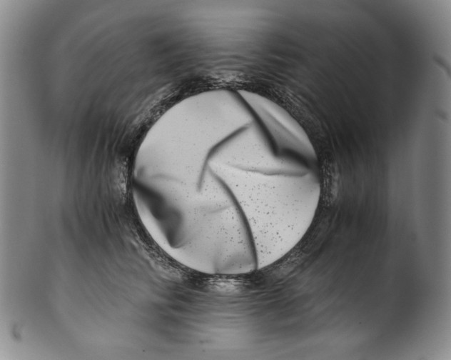 X0000100400710200806271420