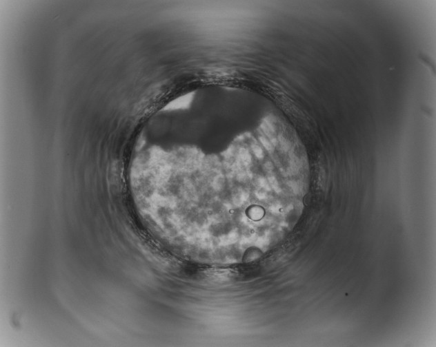 X0000100400711200806271420