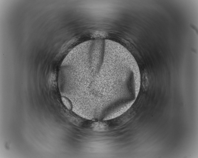 X0000100400714200806271420
