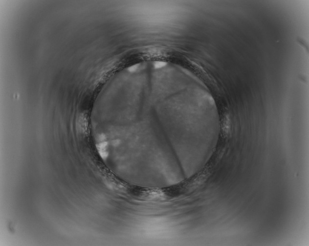 X0000100400715200806271420
