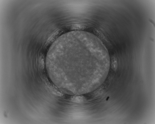 X0000100400716200806271420