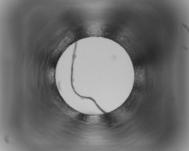 X0000100400717200806271420