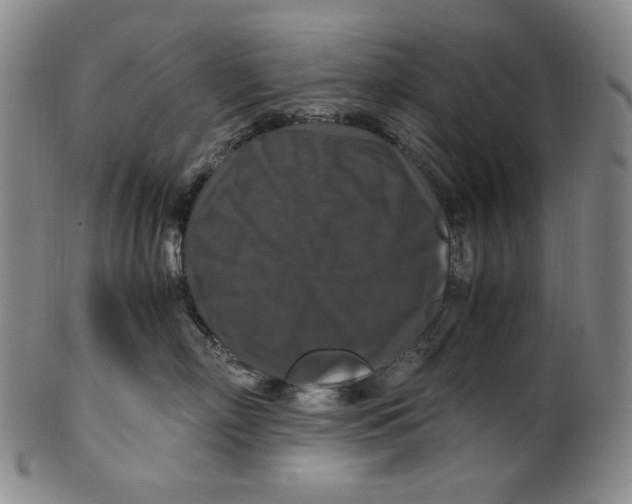 X0000100400718200806271420