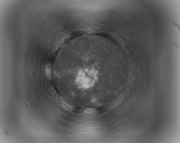 X0000100400720200806271420