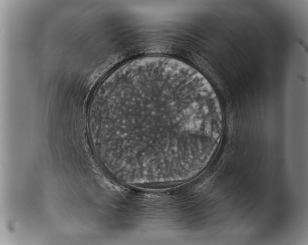 X0000100400721200806271420