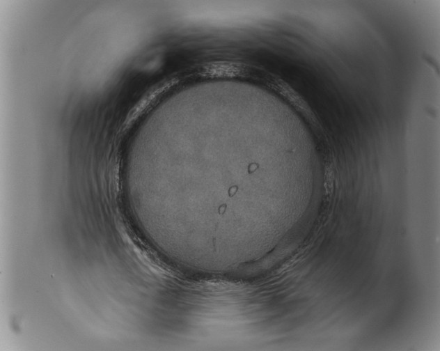 X0000100400722200806271420