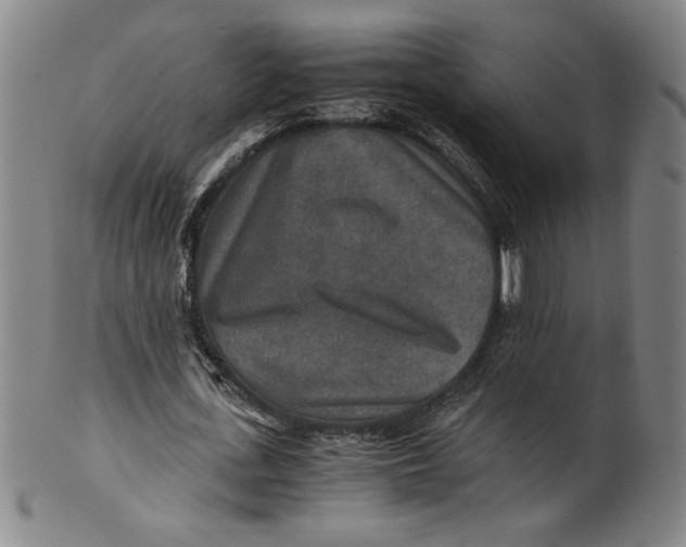 X0000100400723200806271420