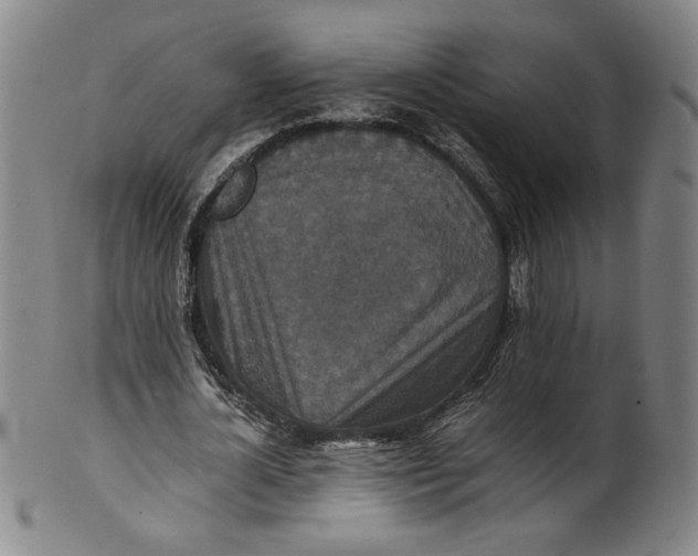 X0000100400724200806271420
