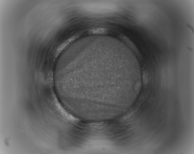 X0000100400725200806271420