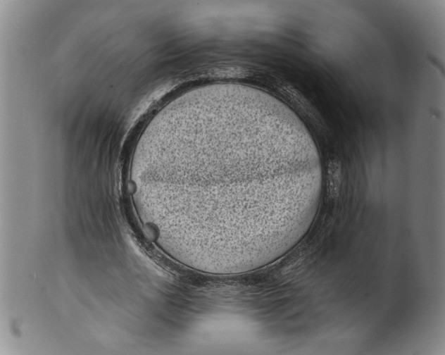 X0000100400726200806271420