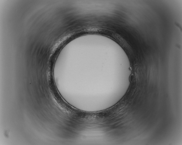 X0000100400728200806271420
