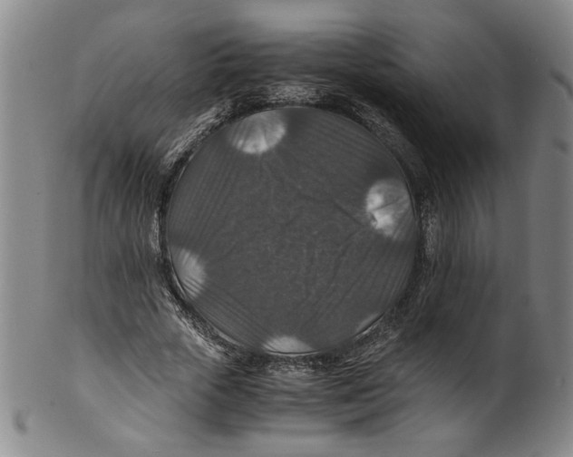 X0000100400729200806271420