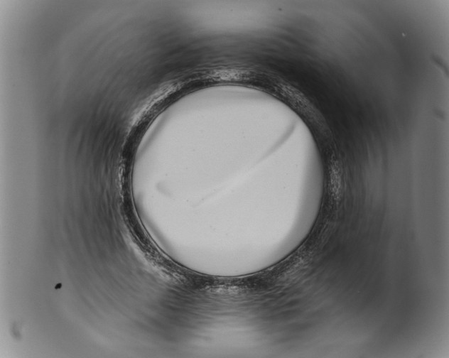 X0000100400730200806271420