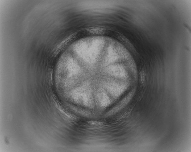 X0000100400733200806271420