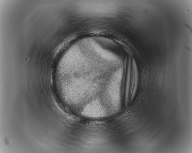 X0000100400734200806271420